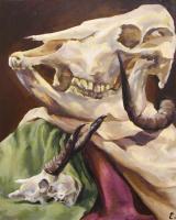 Still Life - Skull Study - Acrylic On Canvas